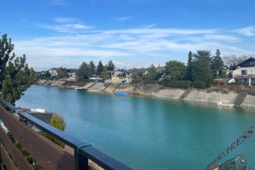 WhatsApp Image 2023-03-29 at 15.56.54