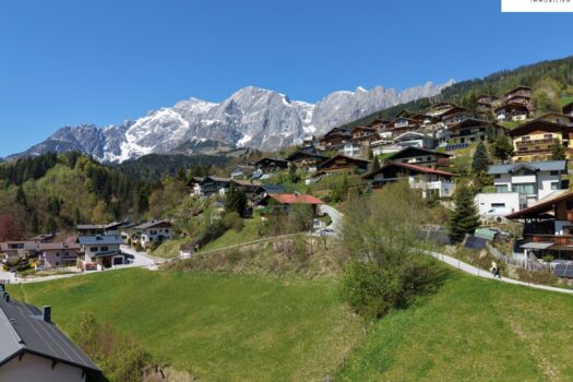 2D3WfDKC630XFw6BDWWoah