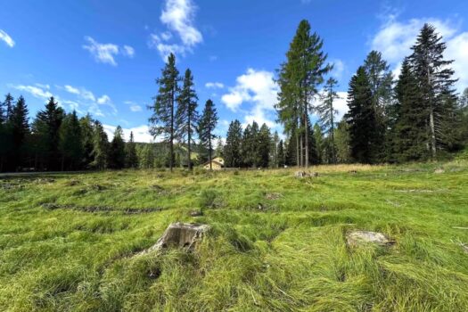 2E6mDy6wkqt23bLC7hLybi