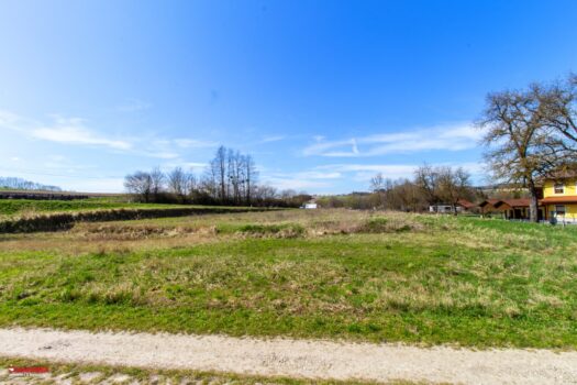 2H9eJR3Huzmbyo6jZCigiD