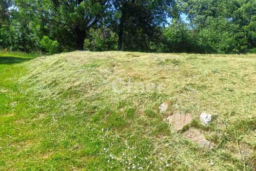 2Jum5G4Gwqdb2W8mYcfsWS