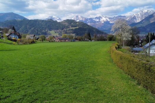 2LwzLAyeDuSTWXlxEOMPMl