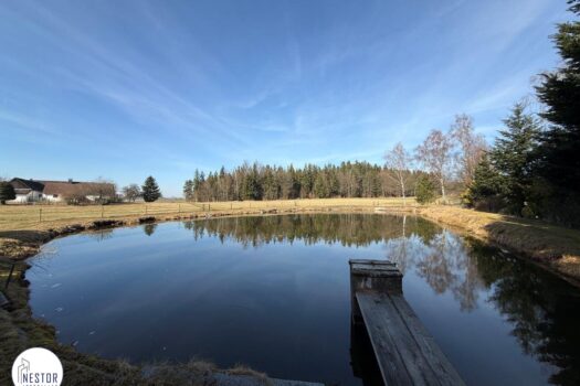 Fischteich - NESTOR Immobilien