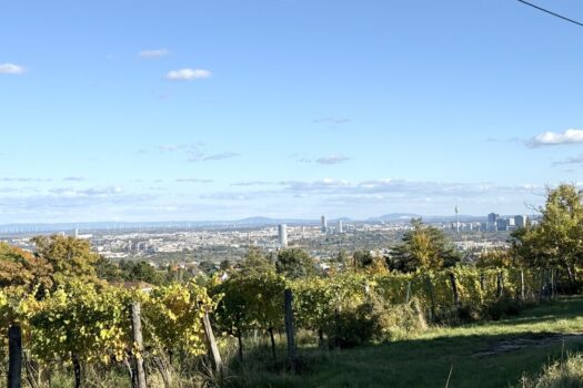 2WJfJWR0NumqNpiKypLkQ3