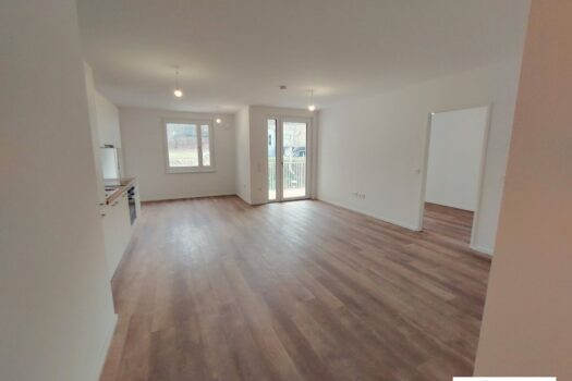 2dnd0bJ2nXAvS0HnyKRoyt