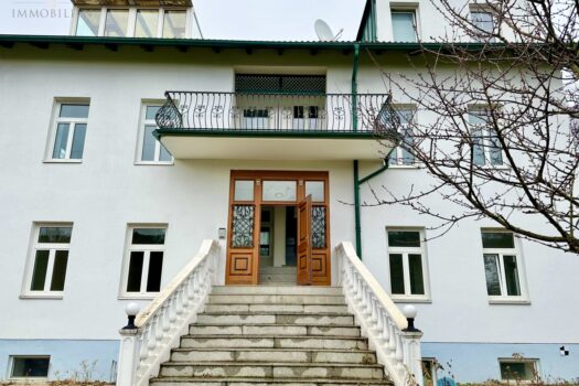 Die Villa - gartenseitiger Eingang