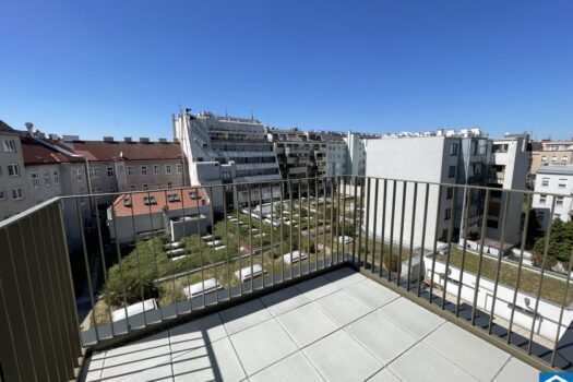 2pkCBfGtLBY70l0gfafJXk