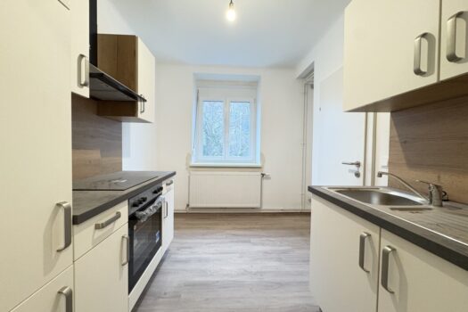 2tDMSt2M516gvyTWsZX7e3