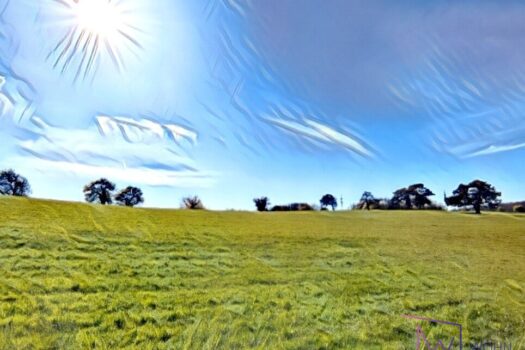 direkt angrenzende Felder und Wiesen