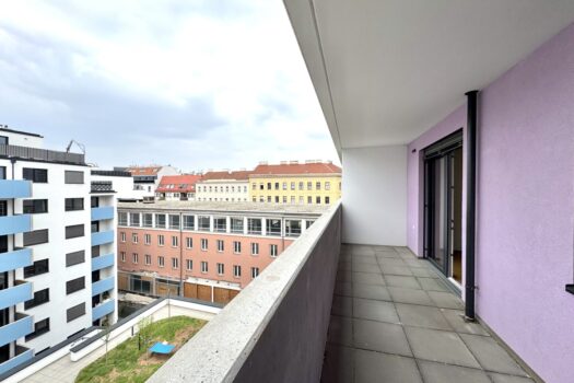 2wb3t276cxIcH8dgEvkEo1