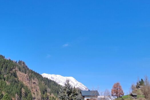 2zNTu9FQPUNJieeqCUX8ZB