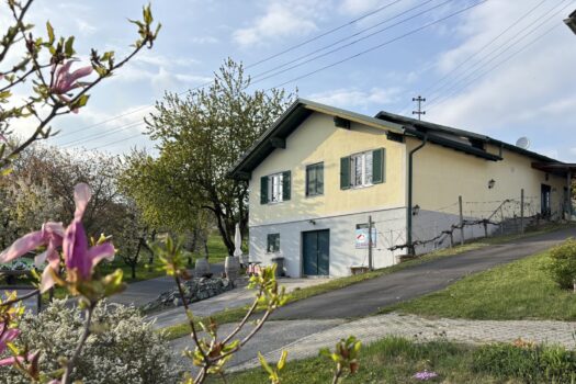 32t8vSyVZLgBHnLtzRDB9R