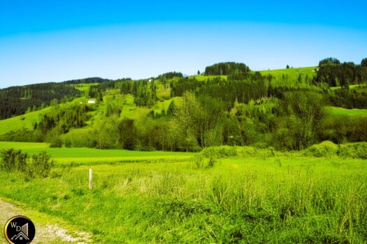 35bhxbMSu1J1I22yAtLQSf