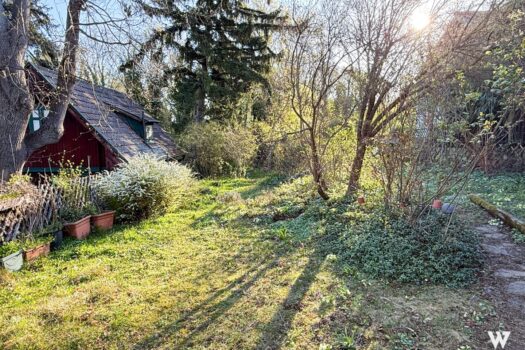 35iDV1Y14AfKNMElFsWpUJ