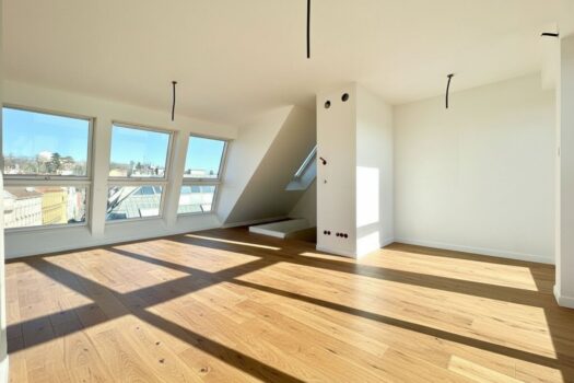 37jxizlOTW7zNxIl13CryC 1