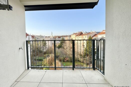 38enNfGOlCBkife4puEshk