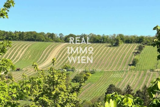 39VWOAOU9mlyyfut9dbjwL