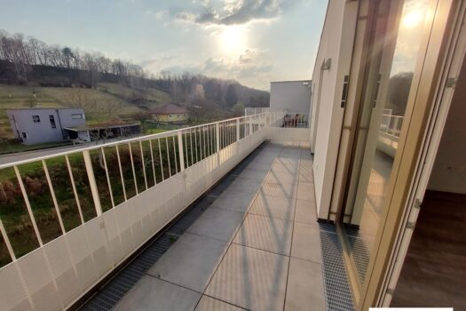 3CxAMNcy6QaQg8pqgQfchb