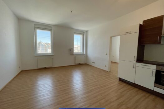 3EibFZ7tnx8zNEOagzW7uH