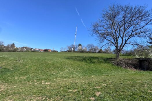 3EwMIGdGs3RX93bAcDqvrX