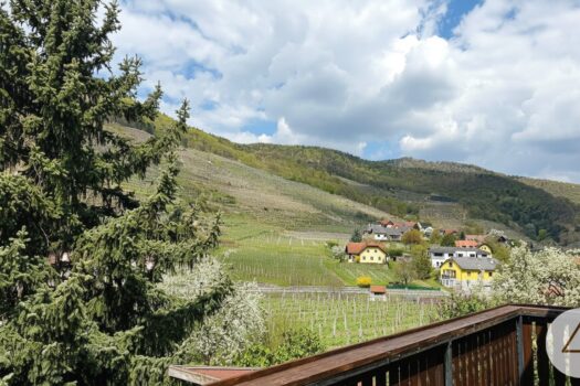 3QAkDU0uz82RieZEjz3snr