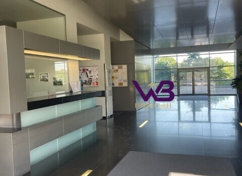 3SGhsEFVZD5JgXIWVLANYz