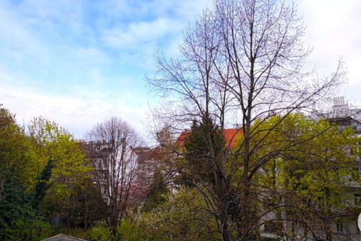 Blick in blühenden Garten! 2-Zimmer Wohnung in toller Ruhelage! 3Ws9Vl8Ir6943vkbI5pk3k