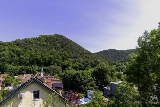 3XAQV6CKFE1K19Y3JdvUaE