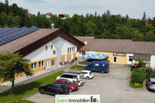 3eeAIDdSlI8xICz31PZSGW