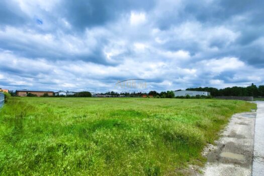 3ftTw1YBMF6NcyvhdPYTjy