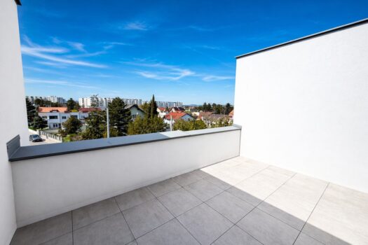 3h3vyhLQXZeNW4BqoJg0XT