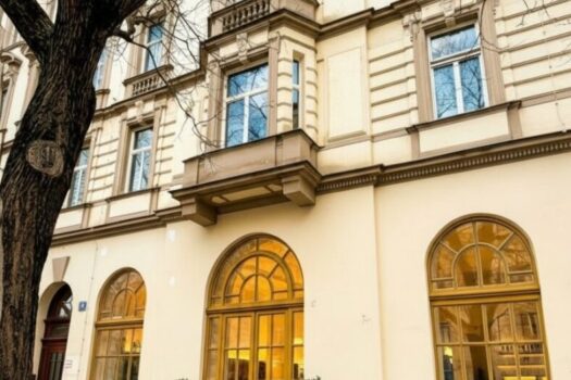 3nq6Xlt7dYw4L7paP9WE29