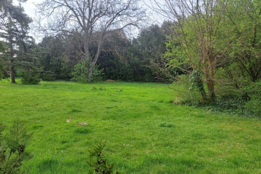 3uy1rjzfBQu1NHn6HLFuJT