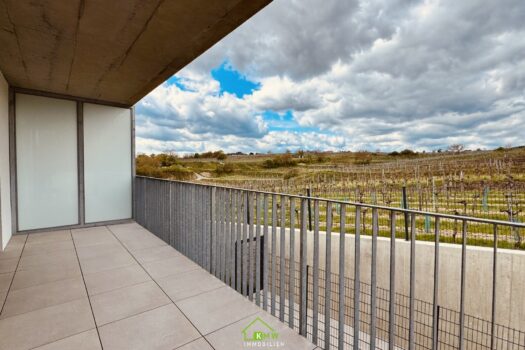 3x18Vo9xYK6AaPqxkQGu6R