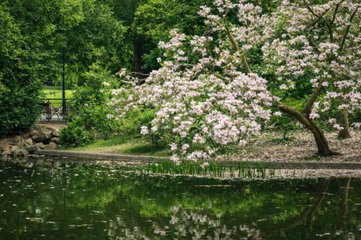 Cottageviertel – Exklusive Gartenwohnung mit ca. 85 m² Wohnfläche und ca. 111 m² Freifläche inkl. Eigengarten 3xhOnAyrQlJHbakVo0I8nS