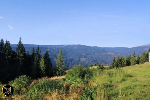 41w1xZpzrUU4RmucBXjBm0