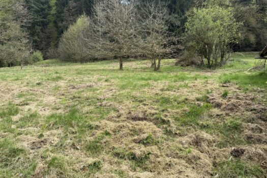 48SnrbFF0u6fBFglCReAun