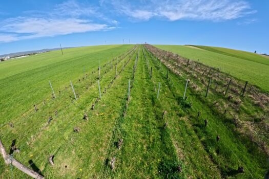 48uKXLF0WHn5pVNe5gP01u