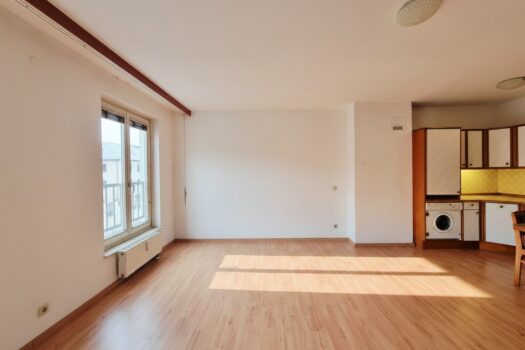 Einzelwohnraum / Kochnische