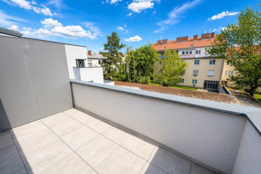 4Jj9Ofl45sh8v6ktTgGZhP 1