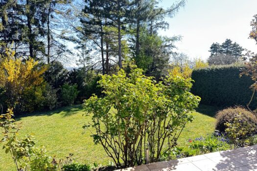 4MFQmESXH0Z3PKCGmCqxMK