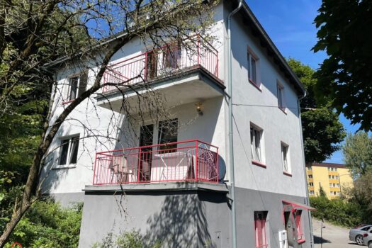 Kompaktes Wohnhaus mit 6 Kleinwohnungen – Anlageobjekt/Mitarbeiterwohnhaus in zentraler Stadtlage Südansicht