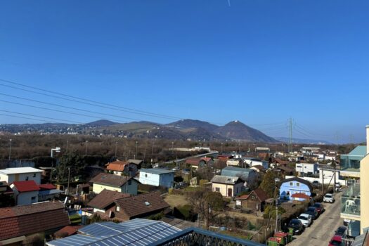 ERSTBEZUG | Außenflächen mit direktem Blick auf den Kahlenberg | vollausgestattete Küchen | Fußbodenheizung und Fußbodenkühlung 4P4P6ovhSe5ryAqpIoPmer 2