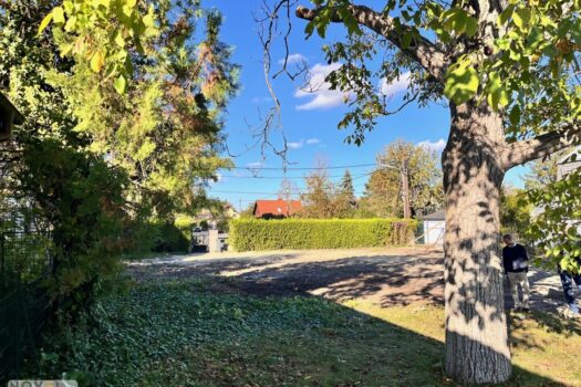 4UZI5P3LGKNCLNAUjMX0Ro