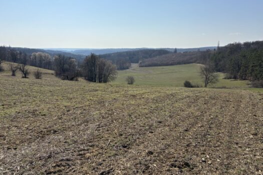 4eguWRcREJfwkCVLnWEcQ5