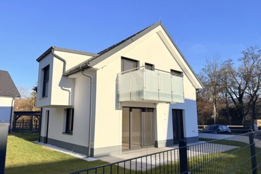 4kfDSE8GWXUMmSkkSAygWe