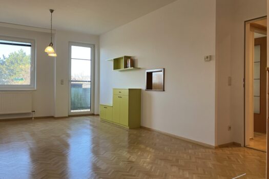 Wohnzimmer mit Balkonausgang