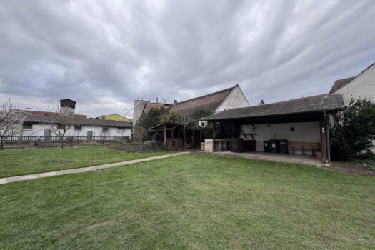 4lxLzkdOeMLCXhV6vzyASc