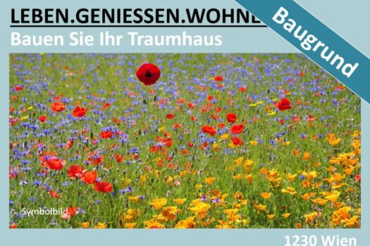 4s3kcmnlwStX5s9t0WFVTy