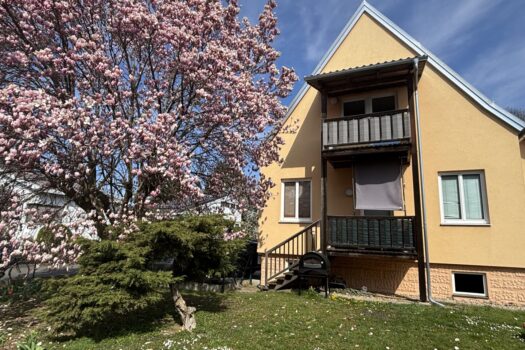 4xE9zaBFsTlFjev8IRXFii